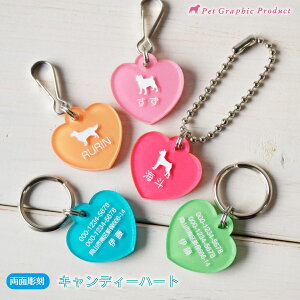  qD LfB[n[g qD yʒz ybg D ^O y Č gCv[h ` |jA _bNXth ViEU[ t` Ȃǂ  喼 dbԍ