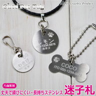 迷子札 犬 キュート 【ステンレス 迷子札】 【片面彫刻】 シンプル ドッグタグ ネームタグ 丈夫 耐久性 …