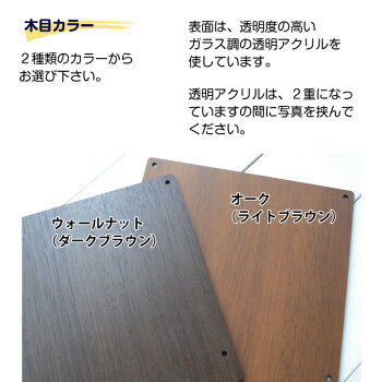 メモリアルウッディースタンド