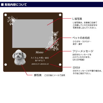 メモリアルウッディースタンド