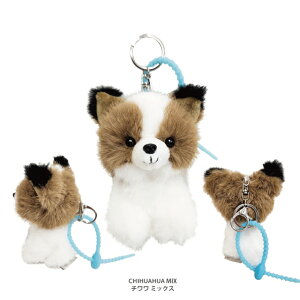 L  }XRbgL[O y ӂӂ t@[[Y z VRWbv^Ct L[z_[ 킢 tt rbgt@[ ʂ I[i[ObY Č v[h V[Y[ V