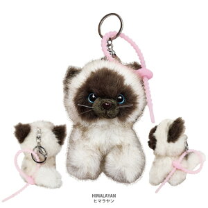  L }XRbgL[O y ӂӂ t@[[Y z VRWbv^Ct L[z_[ 킢 tt rbgt@[ ʂ I[i[ObY Č v[h V[Y[ V