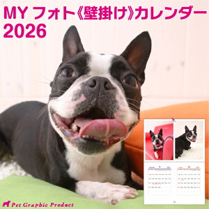 Ǌ|J_[y1n܂ 2026N1`12zMY tHg J_[̎ʐ^ăIWiJ_[낤 ybg q Ƒ ʐ^łOK! Ly6ȏ̕