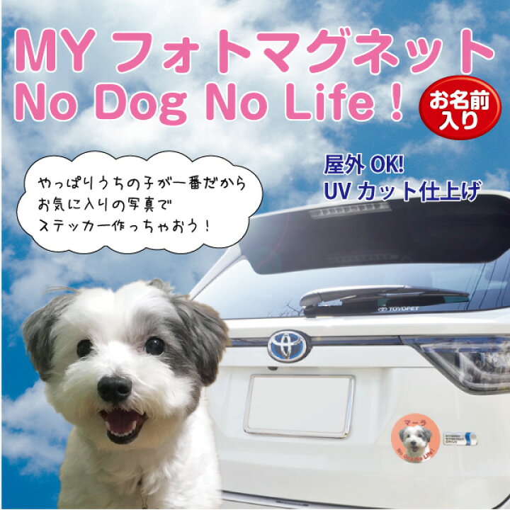 楽天市場 写真 マグネット Myフォト サークル マグネット 直径125mm ２枚セット オリジナル No Dog No Life お 名前入りマグネット ノリ無し 金属部分取り付け Uvカット 屋外対応 車 ウィンドウガラス 写真 画像 名入れ ペットグラフィックプロダクト