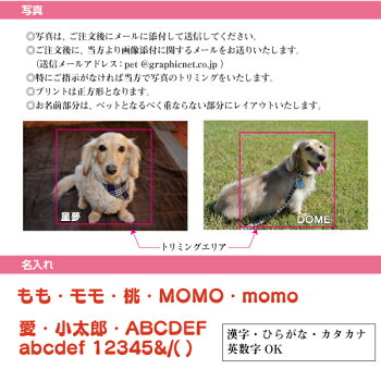 MYフォトお散歩バッグMサイズMadein倉敷お名前入り写真入り名前プリント帆布オリジナル