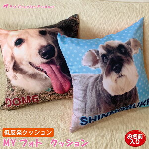 IWi NbV MYtHg yᔽdlz 45cm×45cm Sʈ ؂蔲摜H ̓ ̓ hV̓ v[g ʐ^ O  L q ybgȊOOK [2T Mtg