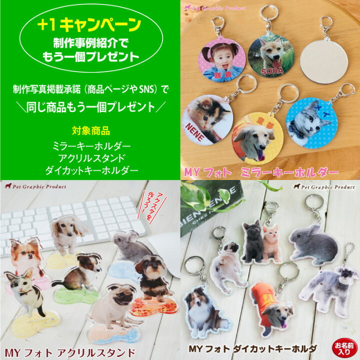 半額SALE☆ モーテルキーホルダー アクリルキーホルダ MYフォト モーテル型 キーホルダー 犬 ガラス調 アクリル ウォールナット オーク オリジナル アクキー お気に入りの写真をお洒落なキーホルダに 写真 で作る MYフォト キーホルダ < モーテル型 > オリジナル キーホルダー 犬 猫 ガラス調 アクリル ウォールナット オーク キーホルダー 敬老の日 ペット以外もOK