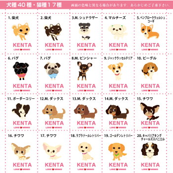 レッスンバッグお名前入りLOVEわんこにゃんこ
