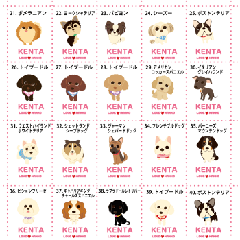 レッスンバッグお名前入りLOVEわんこにゃんこ