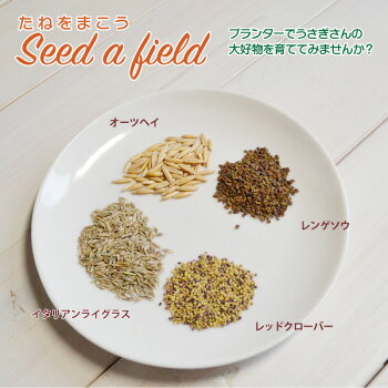 プランターで育てるウサギのご飯LushGreen