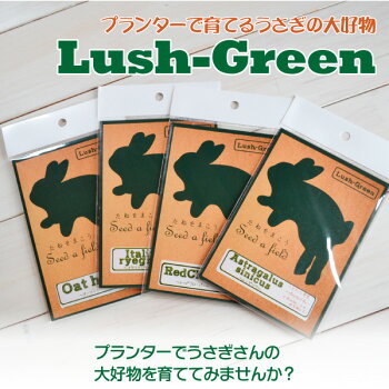 プランターで育てるウサギのご飯LushGreen