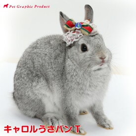 うさぎ 帽子 うさパンT 《 キャロル 》 ウサギ 兎 うさぎ パンティー パンツ 頭飾り SNS 写真映え