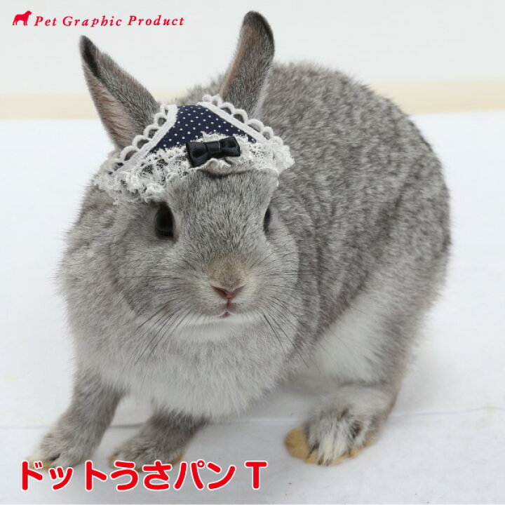 楽天市場】うさぎ 帽子 うさパンT 《 ドット 》 ウサギ 兎 うさぎ  