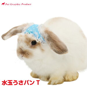 鳥 帽子 その他鳥 小動物用ペットグッズの人気商品 通販 価格比較 価格 Com