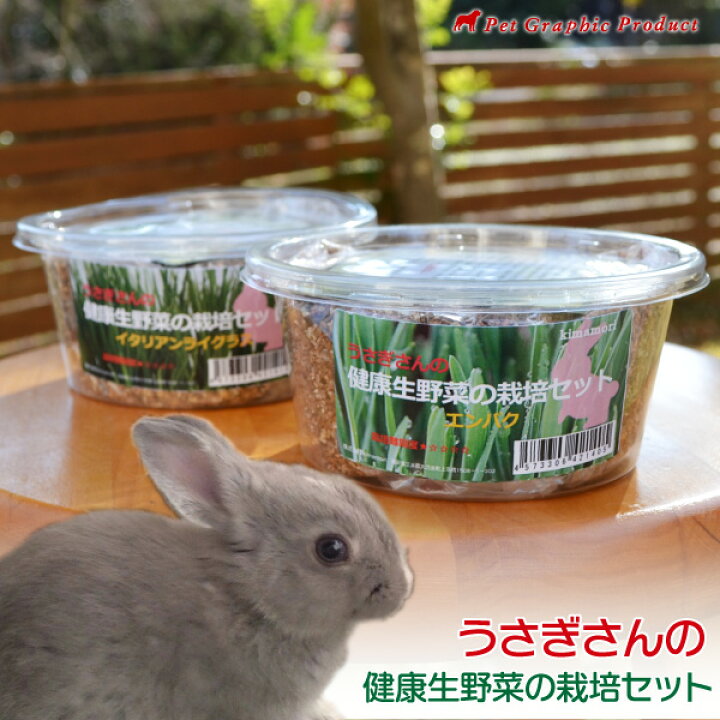 楽天市場 ウサギ 餌 うさぎさんの健康生野菜 栽培セット 生牧草 イタリアンライグラス エンバク 草 種 無農薬 エサ ラッシュグリーン 兎 ペットグラフィックプロダクト