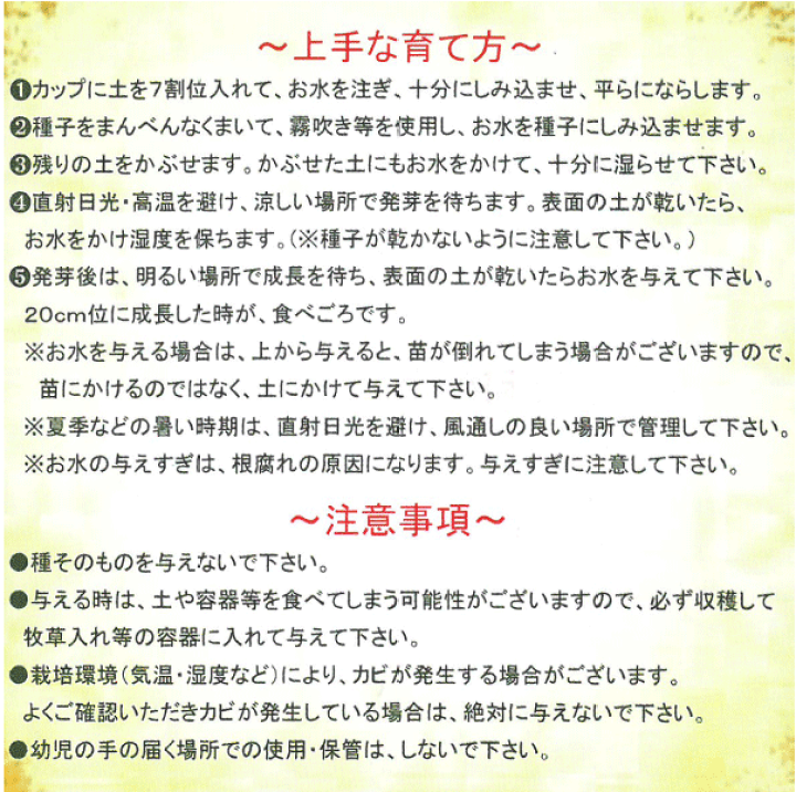 楽天市場 ウサギ 餌 うさぎさんの健康生野菜 栽培セット 生牧草 イタリアンライグラス エンバク 草 種 無農薬 エサ ラッシュグリーン 兎 ペットグラフィックプロダクト