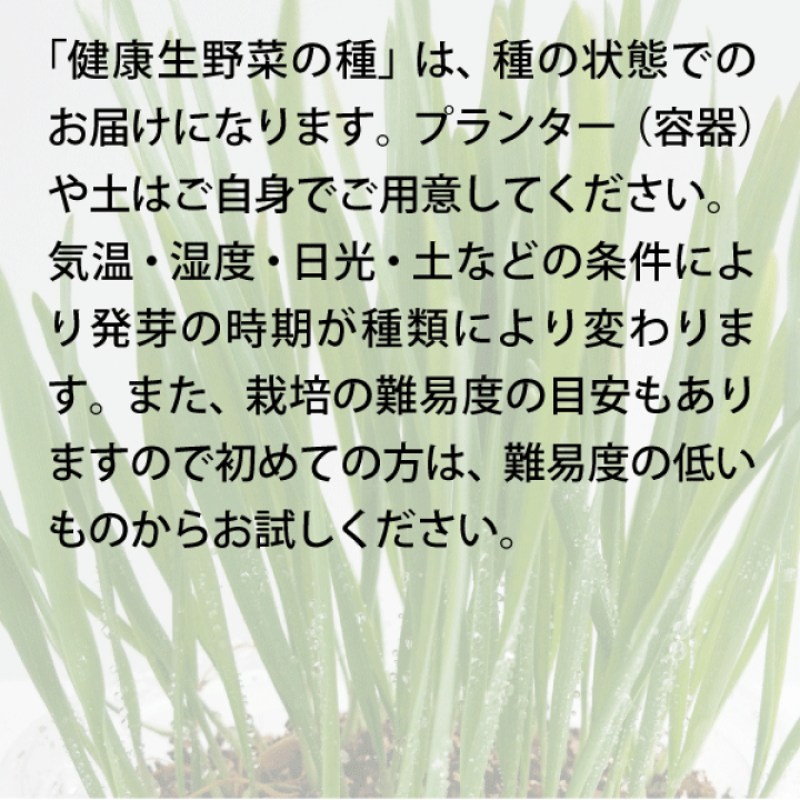 楽天市場】うさぎ 餌 うさぎ 【うさぎさんの健康生野菜】生牧草 牧草
