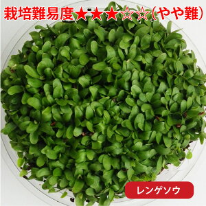  a  `V[y̌N؁zPi q q ͔| GoN C^ACOX `V[ bhN[o[ Q\E bVO[   _ e