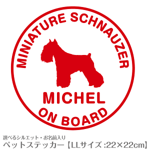 ԗpXebJ[ O  VGbg  y LLTCYi22×22cmjz  fUCNo.65  JbeBOXebJ[ Č gCv[h ` _bNX L Ȃ100ȏ