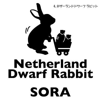 楽天市場 犬 猫 うさぎ カッティングステッカー おでかけペット 18 18cm お名前入り 犬 猫 うさぎ 屋外 耐水 Uvカット ステッカー ペットグラフィックプロダクト