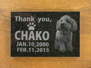 X[p[Z[z ylz ybgpAv[gʐ^^Cv