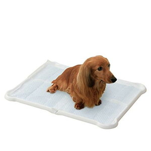 ACXI[} V[c҂ƃg[ Ch zCg P-SPTW