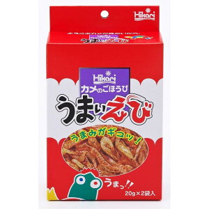 qJ (Hikari) Ĵق ܂20g x2