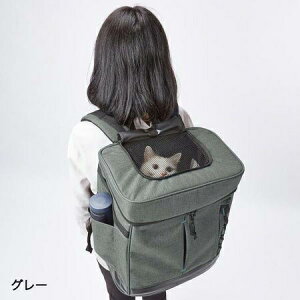 Petio �y�e�B�I Add.Mate �A�h���C�g Liscio CAT ���V�I �L���b�g �����b�N�L�����[ �O���[ �����b�N �o�b�O �L�p�i �l�R �y�b�g�p�i