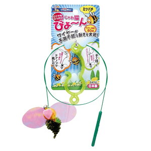 L@т[@~co` hM[} L[eB[} Lp t L炵