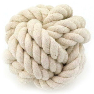 hM[} p Rbg{[ S ^p f^g[C XgXU 