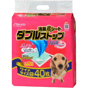 y11/4ȍ~ח\zN[ LYV[g _uXgbv Ch 40  R+ gCV[g ybgV[c gC