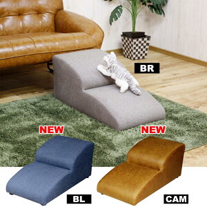 yIz㓡ƋY hbNXebv2i DS-STEP-2-CAM L@ybgƋ ݑyszysz