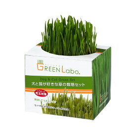 犬と猫が好きな草の栽培セット 【エイムクリエイツ】GREEN Labo Dog & Cat Grass soil 猫草 タネ 栽培用土 [K]