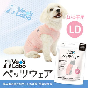 y|Cg10{zy2܂Ń[֔zzp xbcEFA ̎qp sN LDyVet's Labozp 畆ی앞 p㕞 p m EFA  Lk bVf r  