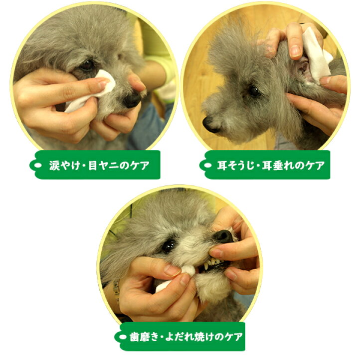 Wafona 犬用 犬用品 セット オールインワンスプレー 食器洗剤