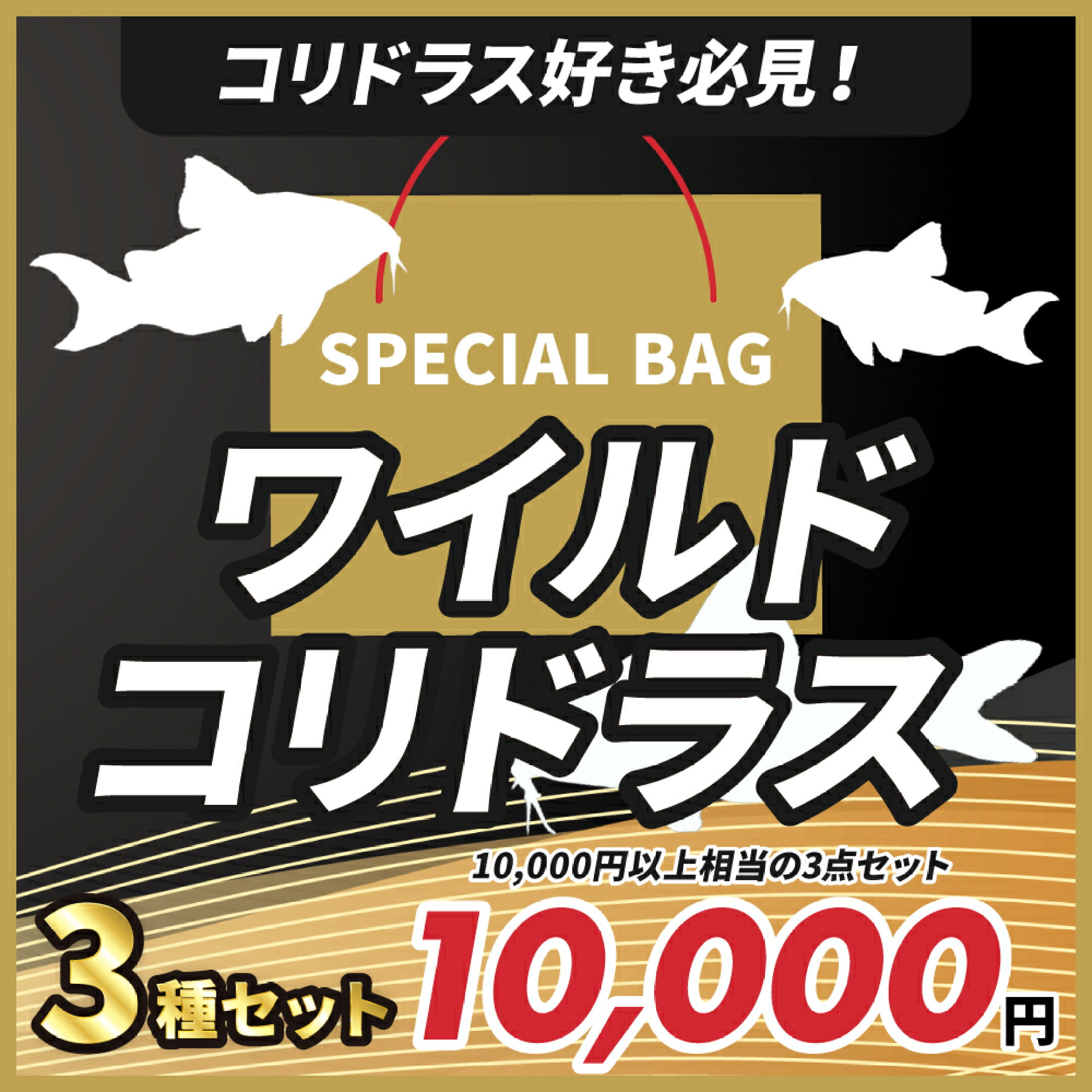 スペシャル・ラッキーバッグ　ゴールド福袋3点