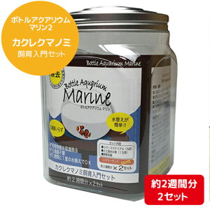 {gANAE }2 (JNN}m~Zbg)  ^ t[X ANAE ybg ANA KX  Ϗ܋ LbgmKn