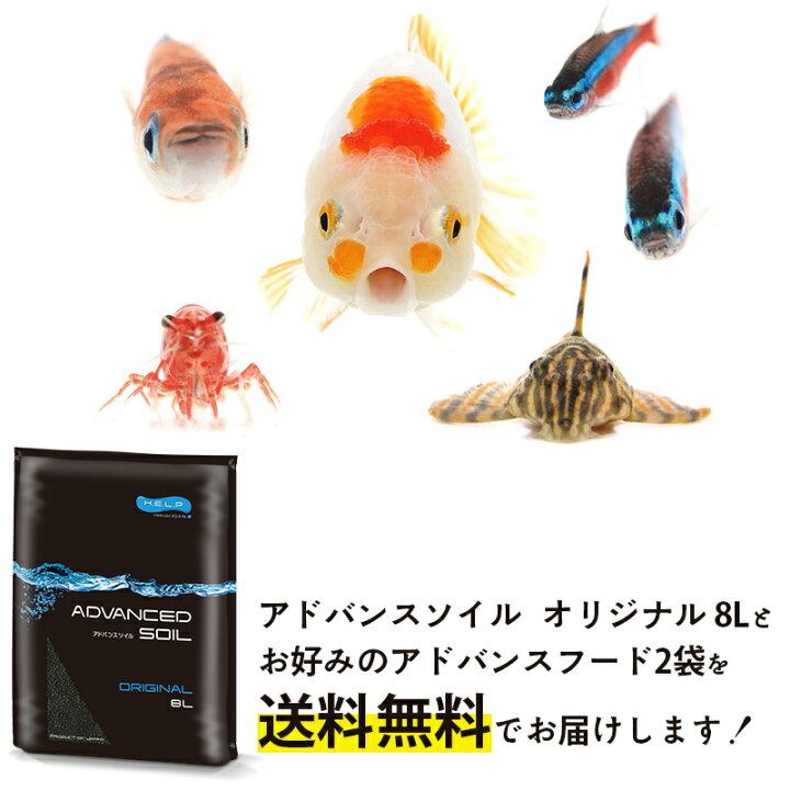 楽天市場 送料無料 アドバンスソイル オリジナル 8l 選べるアドバンスフードセット Vet S Labo 観賞魚 フード ソイル エサ えさ 餌 ごはん グッピー テトラ カラシン シクリッド ベタ コリドラス プレコ シュリンプ 金魚 めだか メダカ A 未来