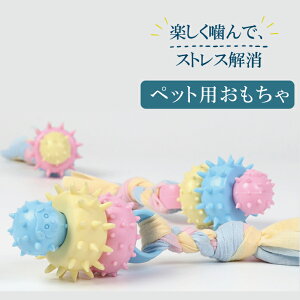  SΉ XgXU ybgpi   V ^s N  pXe 킢