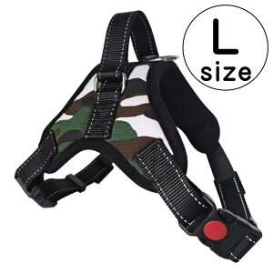 n[lX ^ ^ ybgpn[lX U p  IV pn[lX ybgpi bV ́[˂ 