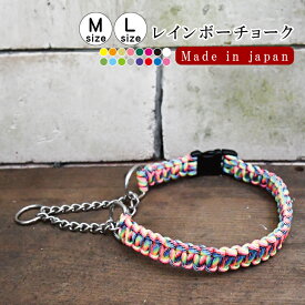 首輪 おしゃれ首輪 犬 カラー 犬用カラー レインボー ハーフチェーンチョーク Mサイズ Lサイズ 大型犬 バックル付き ペット用品 しつけ ハーフチェーン 首輪 中型犬 大型犬 お散歩
