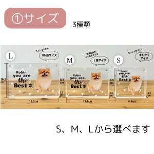 ytHgt[zybg@tHgvg@tHgubN@tHgv[g@AN@ybgʔv@A@ybg{@@L@̋