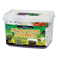 【今だけ送料無料！】★訳あり在庫処分特価マルカン カブト虫・クワガタ虫 カンタン飼育セット KS-13