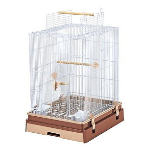 󂠂݌ɏ}J CASA ZNgP[W Bird40 1 MBP-03