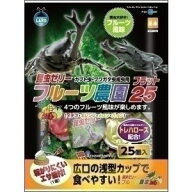 ★訳あり在庫処分特価マルカン フルーツ農園 フラット25 F-23