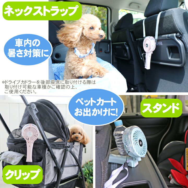 アンデス山脈 アジア 四面体 ペット パラダイス 扇風機 便益 散歩 脚本