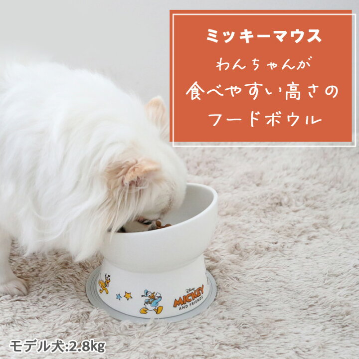 楽天市場】ディズニー 犬 フードボウル 高さのある お皿 ミッキー 