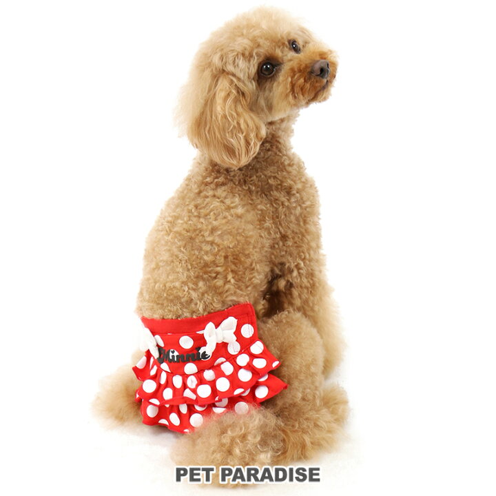 楽天市場 犬 服 サニタリーパンツ 抗菌 防臭 ディズニー ミニーマウス 小型犬 ドット柄 女の子 ドッグウエア ドッグウェア イヌ おしゃれ かわいい キャラクター メール便可 ペットパラダイス