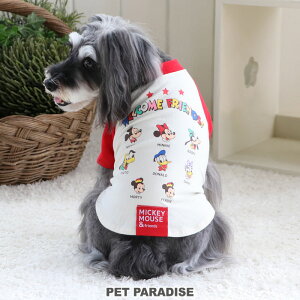 ディズニー キャラクター いぬ ペットの通販 価格比較 価格 Com