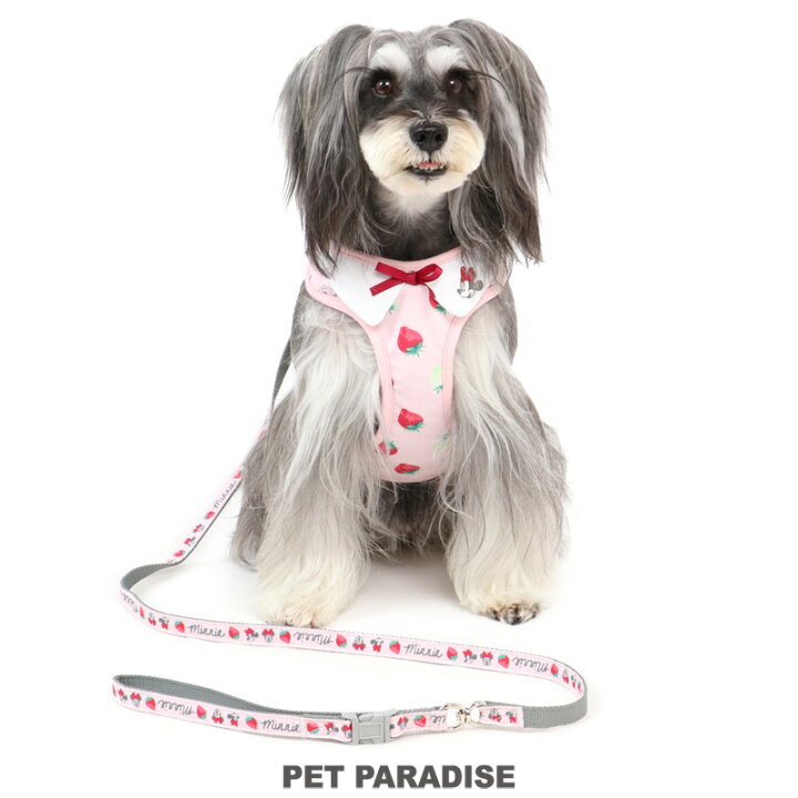 楽天市場 500円offｸｰﾎﾟﾝ対象 ポイント5倍 犬 ハーネス リード ディズニー ミ二ーマウス ｓ 苺総柄 ハーネスリード 一体型 簡単装着 小型犬 苺 いちご イチゴ 野いちご 野苺 おさんぽ おでかけ お出掛け おしゃれ オシャレ かわいい ペットパラダイス